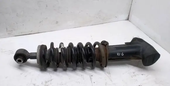 Peugeot 508 Rear shock absorber with coil spring 9652905080