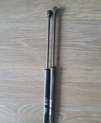 Renault Zoe Tailgate/trunk strut/damper 904502915R