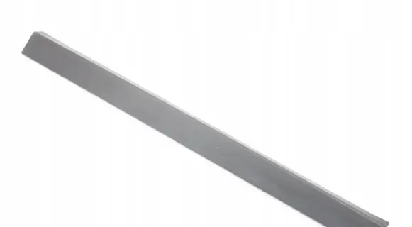 BMW X3 G01 Front door trim (molding) 7388226
