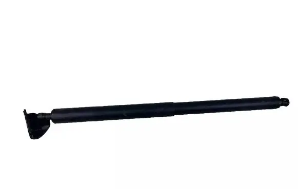 Tailgate strut