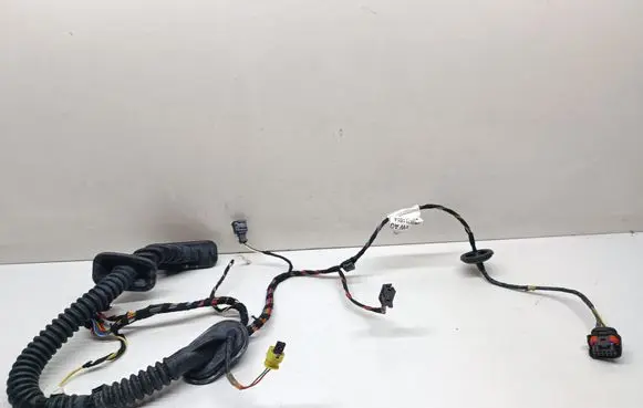 Porsche Cayenne (92A) Front door wiring loom 7P5971161A