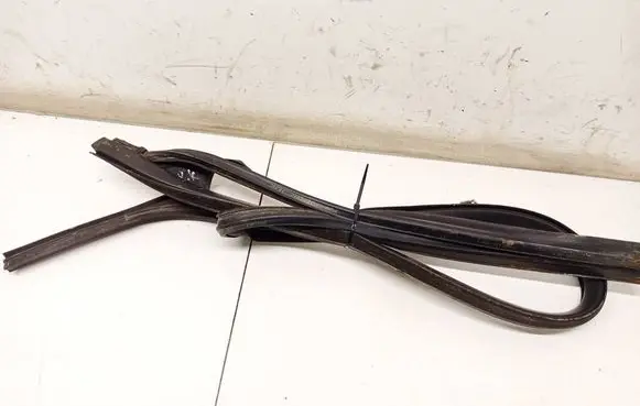 Ford Focus Rubber seal front coupe door 