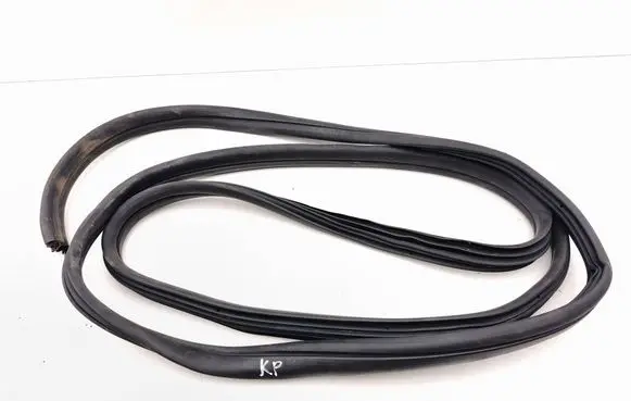 Opel Vivaro Front door rubber seal 