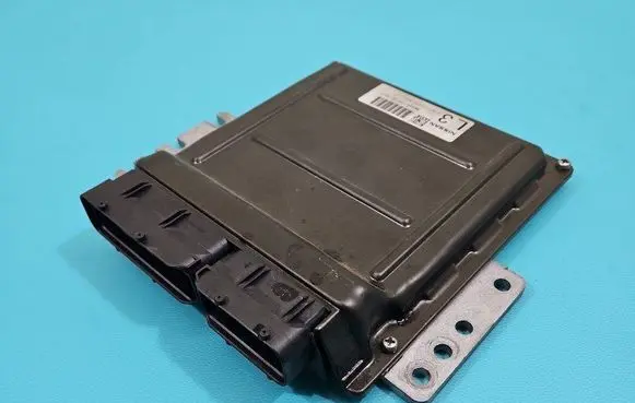 Engine control unit/module ECU
