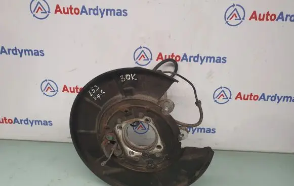 BMW X5 E53 Rear wheel hub spindle/knuckle 1095239 33321095239
