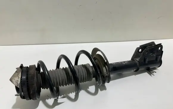 Chrysler Pacifica Front shock absorber with coil spring P68248726AD