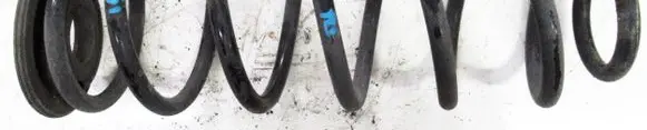 Skoda Octavia Mk3 (5E) Rear coil spring