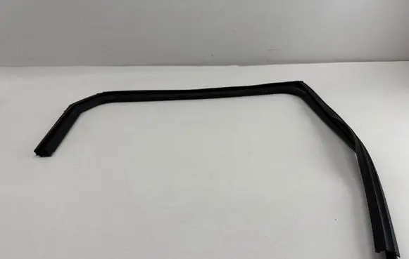 KIA EV6 Rubber seal rear door 