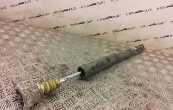 Ford Ecosport Rear shock absorber/damper