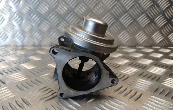 EGR valve