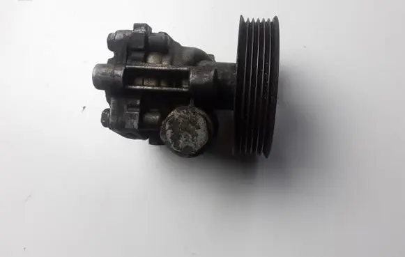 Mitsubishi Grandis Power steering pump
