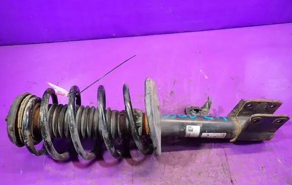Peugeot Partner Front shock absorber with coil spring 