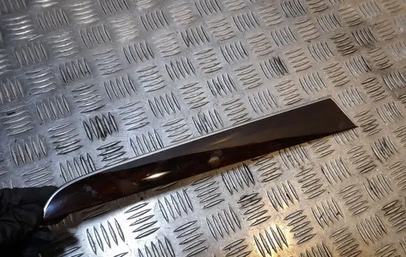 Audi Q5 SQ5 Front door trim bar 8R0867409B