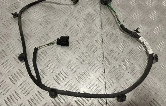 Other wiring loom