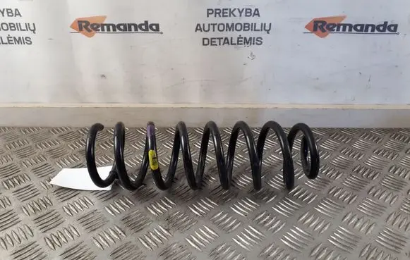 Rear coil spring