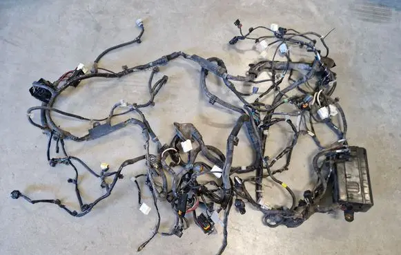 Other wiring loom