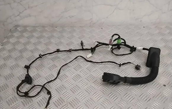 Other wiring loom