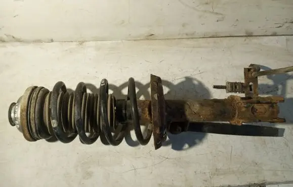 Opel Zafira B Front shock absorber/damper 24466547