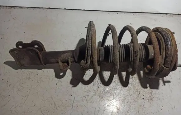 Hyundai Santa Fe Front shock absorber with coil spring