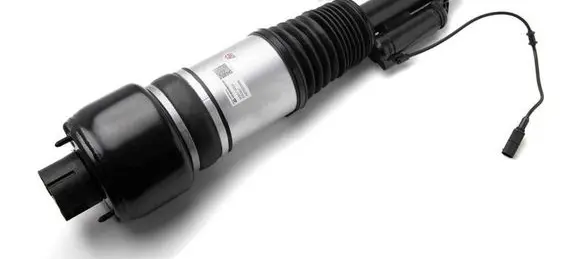 Mercedes-Benz CLS AMG C219 Front air suspension shock absorber 2193201113 44102272 211320551380