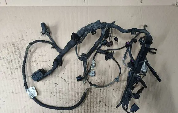 Volkswagen Amarok Engine installation wiring loom 2H0971078AG 2H0971067 03L971824D