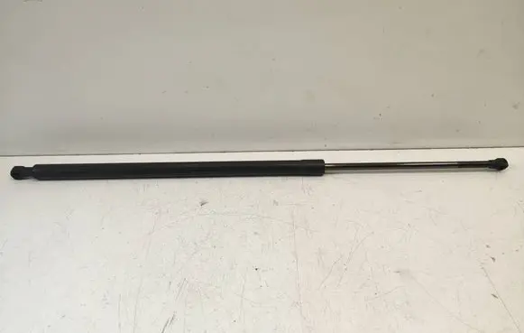 Tailgate/trunk strut/damper