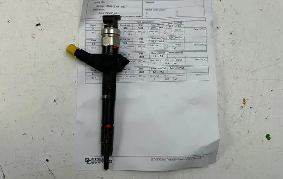 Nissan Navara D40 Fuel injector 16600EB300