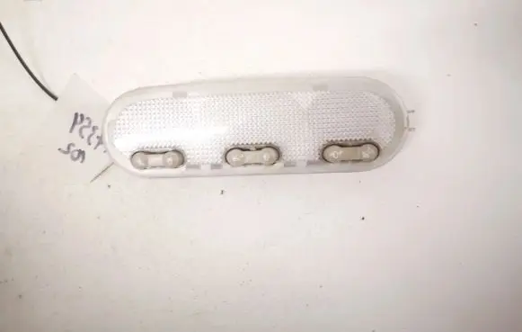 Renault Megane II Rear seat light 6200073234