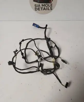 Front door wiring loom