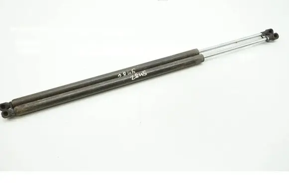 Tailgate/trunk strut/damper