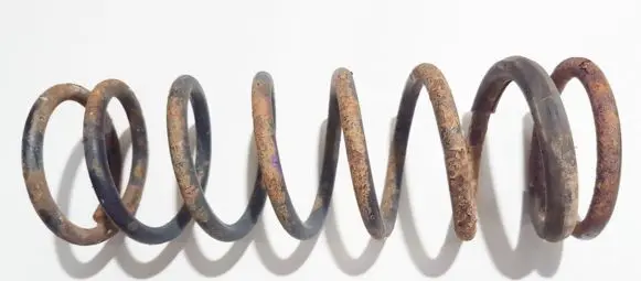 Ford Focus Rear coil spring