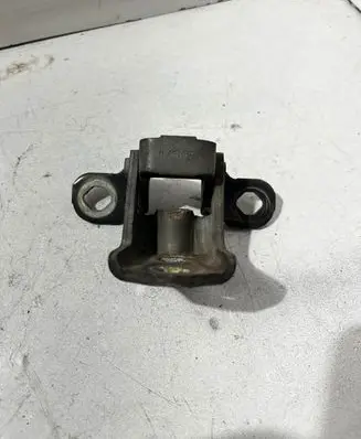 Rear door lower hinge