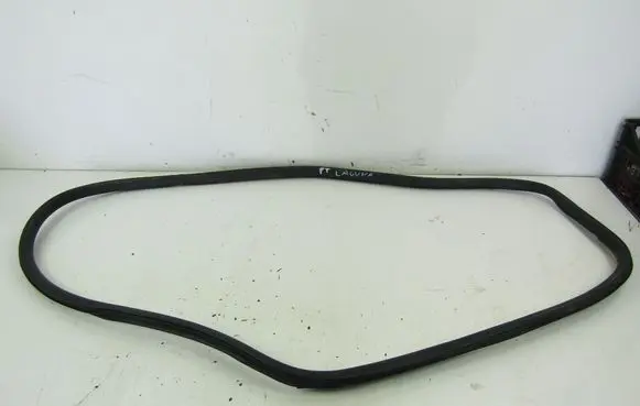 Renault Laguna III Rear door rubber seal (on body) 