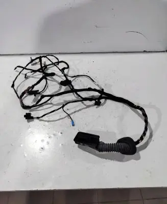 BMW 3 F30 F35 F31 Front door wiring loom 9313619 19344411