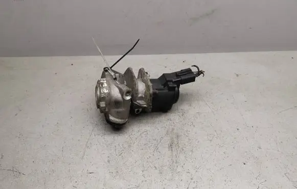 Peugeot 307 EGR valve 