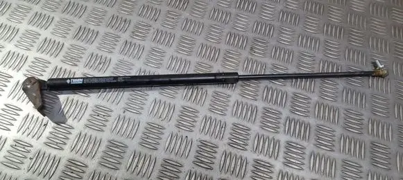 Mazda 3 I Tailgate/trunk strut/damper gs602032352