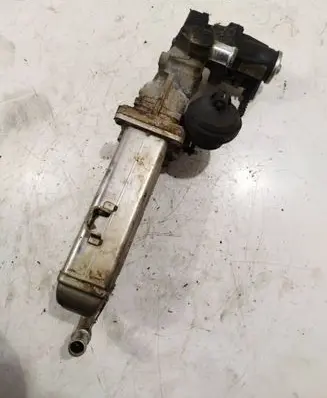 Skoda Octavia Mk2 (1Z) EGR valve 0280751012 11725504 03L131512