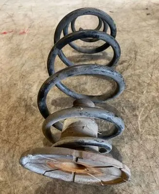 Rear coil spring