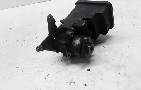 BMW 5 E39 Power steering pump 1095749