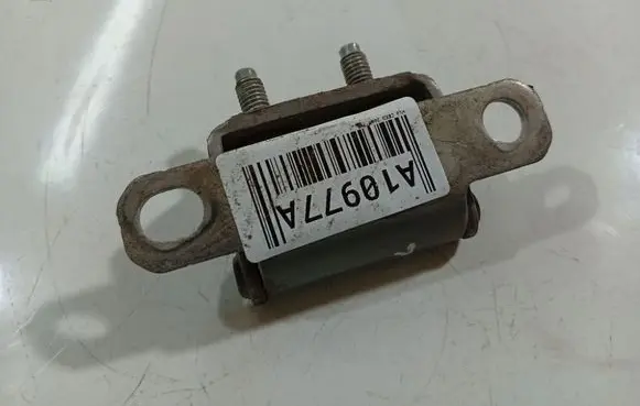 KIA Ceed Rear door lower hinge 