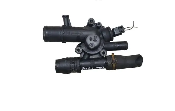 Thermostat/thermostat housing