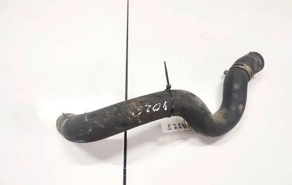 Peugeot 406 Engine coolant pipe/hose