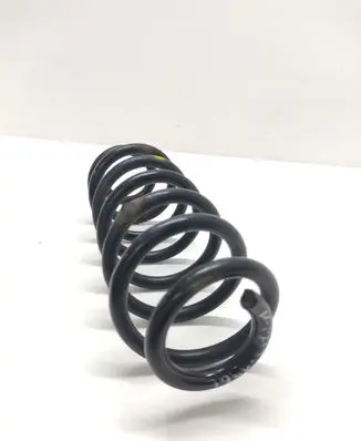 Volkswagen PASSAT B7 Rear coil spring