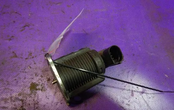 EGR valve