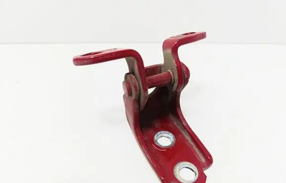 Rear door lower hinge