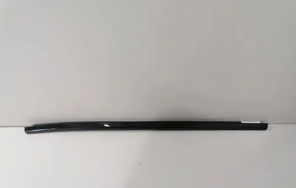 BMW X6 G06 Rear door glass trim molding 7446205