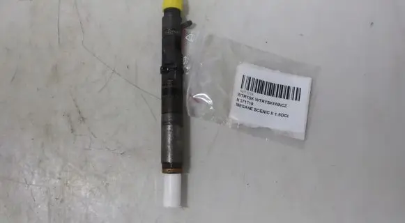 Renault Megane II Fuel injector EJBR02101Z