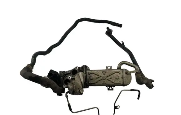 Seat Alhambra (Mk2) EGR valve cooler 03L131512CF 0280751016