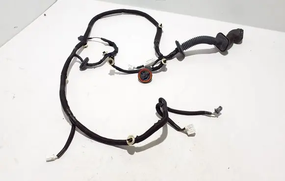 Renault Kangoo III Other wiring loom 241251494R