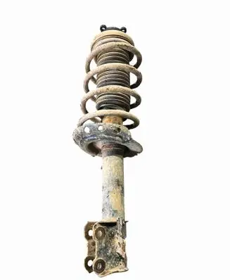 Opel Astra H Front shock absorber/damper 22214598